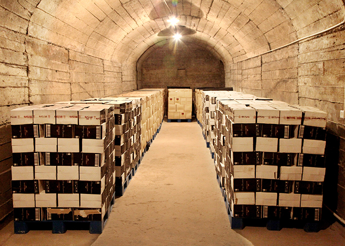 草莓视频禁毒大酒窖