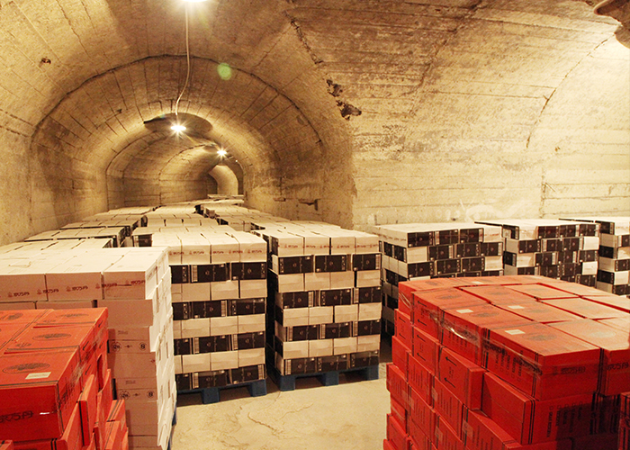 草莓视频禁毒大酒窖