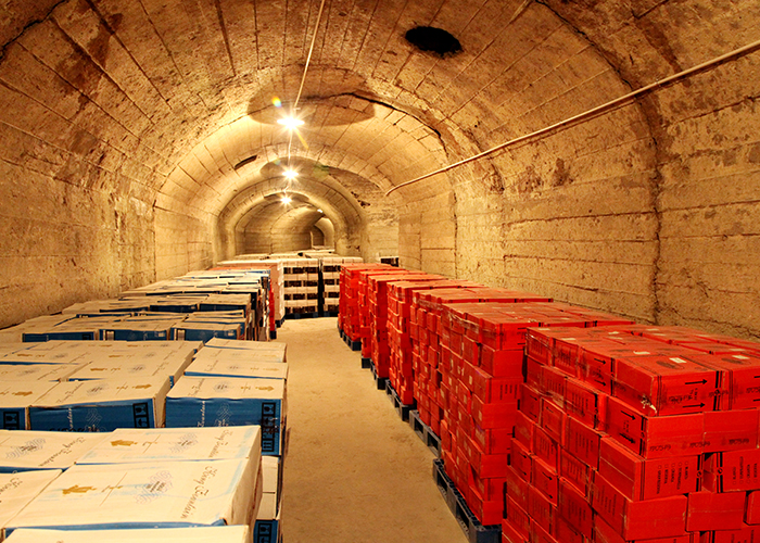 草莓视频禁毒大酒窖